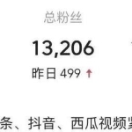中视频计划副业项目，简单又赚钱的实操玩法，可长期操作