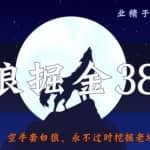 侠狼掘金38招第5招空手套白狼，永不过时挖掘老域名技术