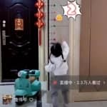 视频号带货，一个视频进账十万+