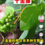 蹭高价值商业热点，被动引流精准粉月入10万