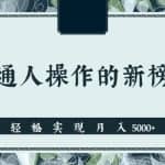 分享一个适合普通人操作的网赚项目，新手也能轻松实现月入5000+