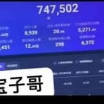 宝子哥无人直播，半无人直播，Obs+伴侣玩法，快速打标签+养鱼