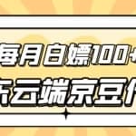 【稳定低保】京东云端京豆代挂，每月3.5-4.5k京豆