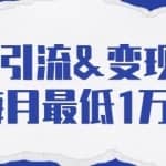 引流变现课：分享一整套流量方法以及各个渠道收入，每月最低1万起！