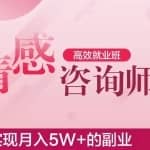情感咨询师高效就业班18节，实现月入5W+高薪副业