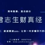 君志生财真经第三关：极速精通seo，让你一年多赚百万的秘籍