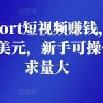制作short短视频赚钱，轻松日赚50美元，新手可操作，需求量大