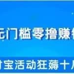 柚子团队内部项目：操作无门槛零撸赚钱项目，利用支付宝项目狂薅十几万