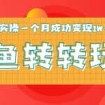 闲鱼转转5月最新引流玩法，轻松日引流精准粉300+，实操月入成功变现1W+