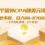6个国外CPA赚美元项目：什么也不做，日入116-2700美元（6节视频课）
