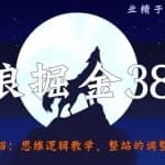 侠狼掘金38招第11招思维逻辑教学，整站的调整与优化