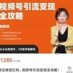 抓住微信红利，视频号引流变现全攻略，人人都能学会的短视频运营玩法