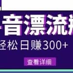 最新抖音漂流瓶发作品项目，日入300-500元没问题【自带流量热度】