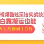 抖音短视频实战技巧酷炫玩法：小白靠搬运也能轻松月入过万