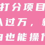 颜值打分项目也能月入过万，新手小白也能操作