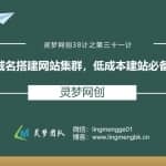 灵梦网创38计之第三十一计：单城名搭建网站集群，低成本建站必备技术