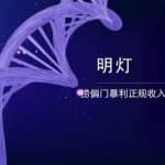 明灯副业三十六条小妙招之第27招捞偏门暴利正规收入过万项目