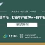 灵梦网创38计之第二十一计：空手薅羊毛，打造年产值20W+的羊毛收割机