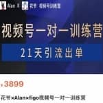 花爷×Alan×figo视频号训练营，带货，涨粉，直播，游戏，四大变现新方向，21天引流出单