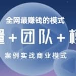 全网最赚钱的模式《流量+团队+模式》案例实战商业模式