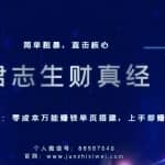 君志生财真经第六关：零成本万能赚钱单页搭建，上手即赚钱