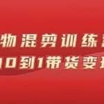 万三好物混剪训练营：小白0到1带货变现课