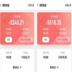 某工作室内部聊天全自动挂机项目，单窗口稳定一天至少20+【永久脚本+详细教程】