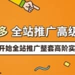 拼多多全站推广高级实操：从破零开始全站推广整套高阶实操玩法