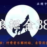 侠狼掘金38招第26招付费音乐解析站，自带流量捆绑变现