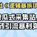 倪尔昂逻辑暴拆项目N式之06：傻瓜式采集站，手动搬砖引流暴利变现过万