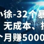 进击的小徐-32个暴利小项目，无成本、操作简单一个月赚5000+
