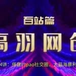 高羽网创百站篇第14讲：搭建yp社交圈，大蓝海暴li项目