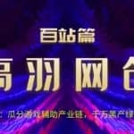 高羽网创百站篇第6讲：瓜分游戏辅助产业链，千万H产绿色玩法