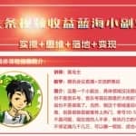 黄岛主·头条视频蓝海小领域副业项目，单号30-50收益不是问题