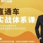 直通车实战体系课：多计划类型组合布局快速掌握直通车各场景应用技巧