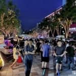 揭秘！月入1w的小项目，简单操作日赚300很轻松