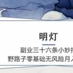 明灯副业三十六条小妙招之第15招野路子无风险月入上万