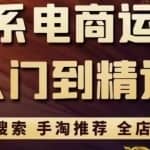 淘系电商入门到精通手淘搜索，手淘推荐，全店动销（价值1099元）
