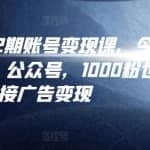 汤小小账号变现课第2期，今日头条、小红书、公众号，1000粉也可以接广告变现