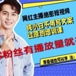 网红主播绝密短视频，纯小白不用写文案过原创培训课，零粉丝有播放量就有米