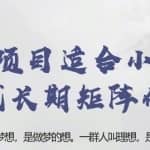 忠余网赚32计第二十七计：零门槛项目适合小白上手可形成长期矩阵化发展