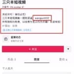 粗暴的短视频带货赚钱玩法，强IP的直播切片了解下