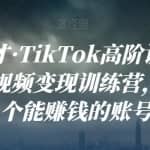 运营鬼才·TikTok高阶训练营，海外短视频变现训练营，教你做个能赚钱的账号