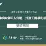 灵梦网创38计之第三十三计：电商U盘私人定制，打造王牌暴利项目