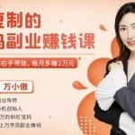 宝妈在家副业赚钱课：边带娃边赚钱，每月多赚2万元