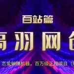 高羽网创百站篇第4讲：恋爱话术被动收入机器，百万级正规项目