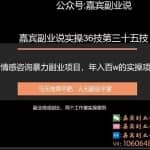 嘉宾副业说实操36技第三十五技：情感咨询暴力副业项目，年入百万的实操项目分享
