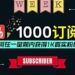 油管涨粉教程：一星期内获得1000真实粉丝，免费且快速的方法操作简单