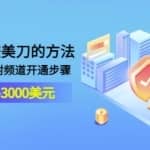 YOUTUBE赚美刀的方法：月入2000-3000美元（2节视频课）附频道开通步骤