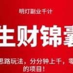 明灯副业千计—《生财锦囊》第46计：冷门新思路玩法，分分钟上千，零基础小白最适合的项目